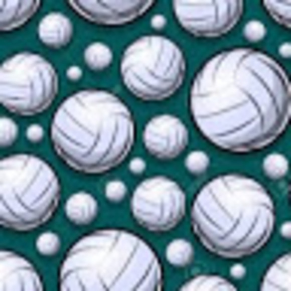 Meet your Posher, Jayden - Picture 1 of 1